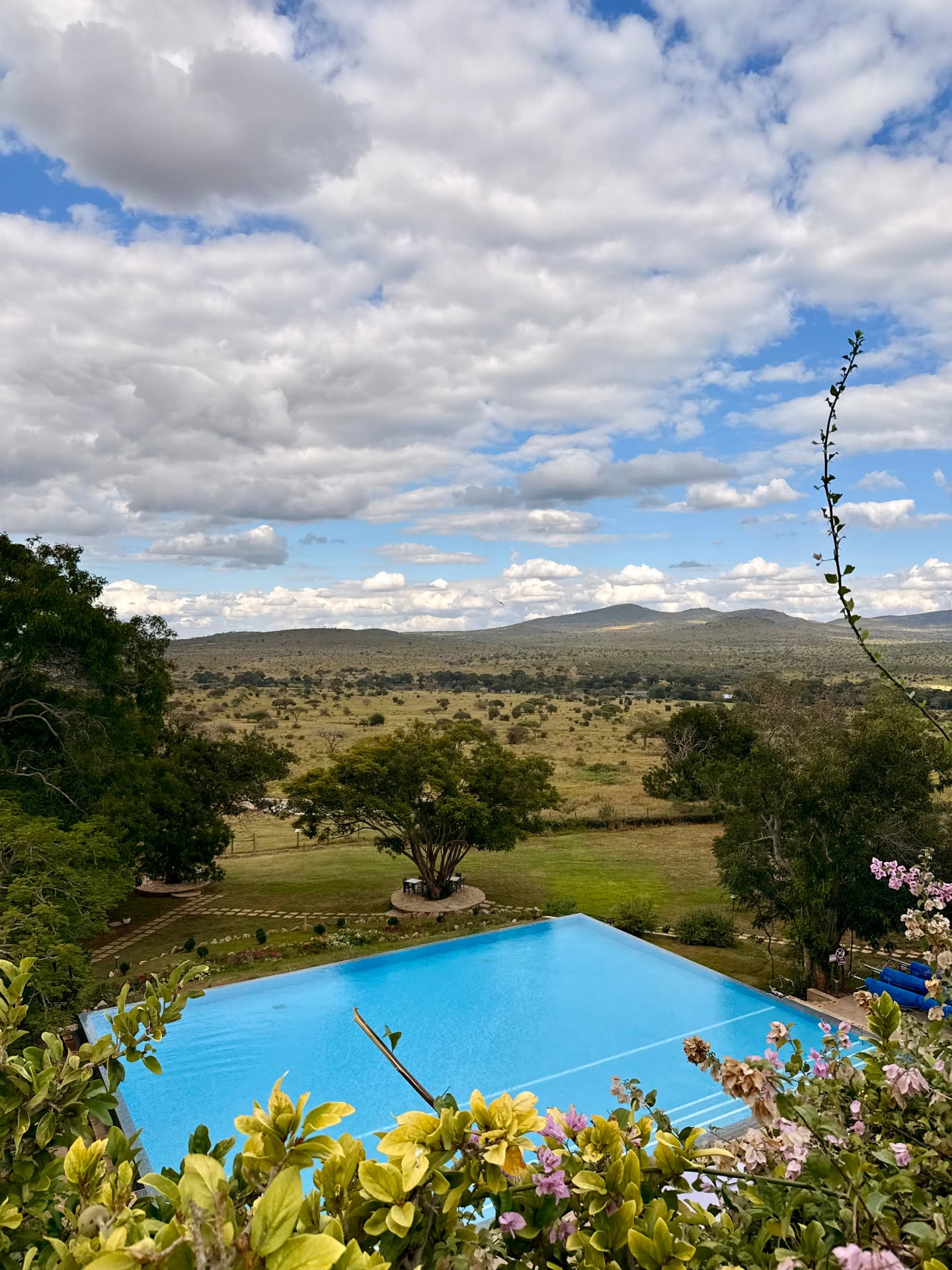 Taita Hills Safari Resort infinity pool and gardens overlooking the sanctuary hills